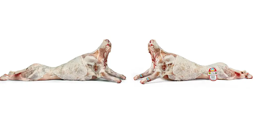 comparativa-lechazo-castilla-leon-vs-igp Lechazo de Castilla y León o lechazo IGP