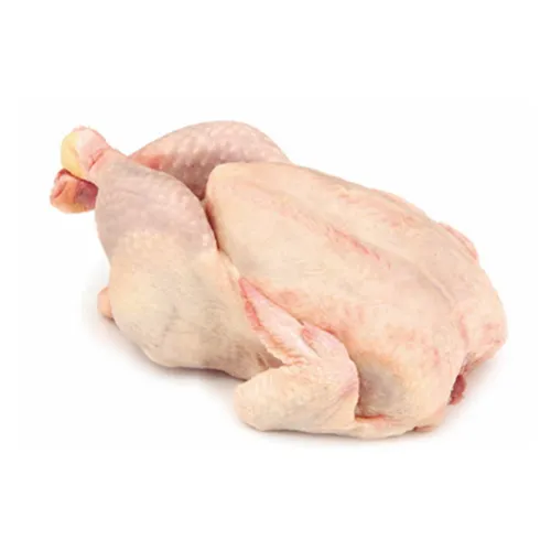 Pollo fresco entero preparado para cocinar